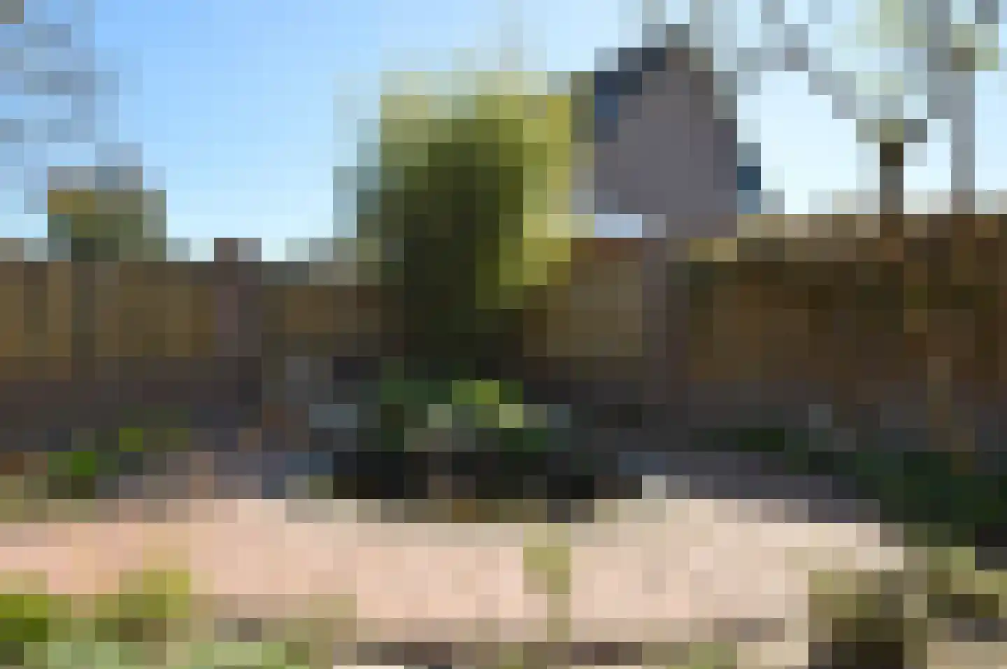 Blauwborst 3 Deurne thumbnail 27
