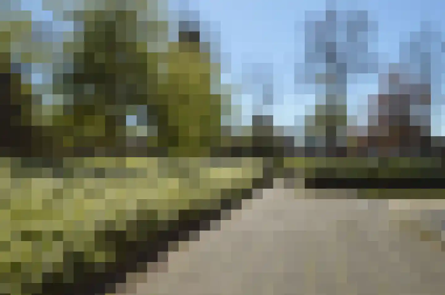 Blauwborst 3 Deurne thumbnail 29