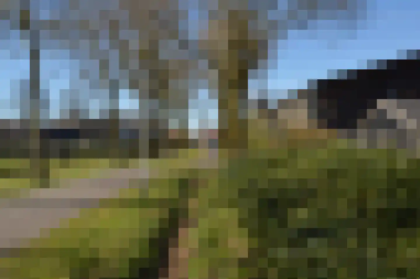Blauwborst 3 Deurne thumbnail 30