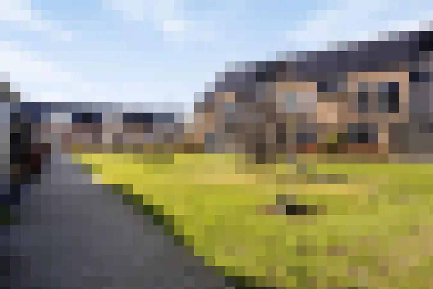 Blauwborst 30 Made thumbnail 48