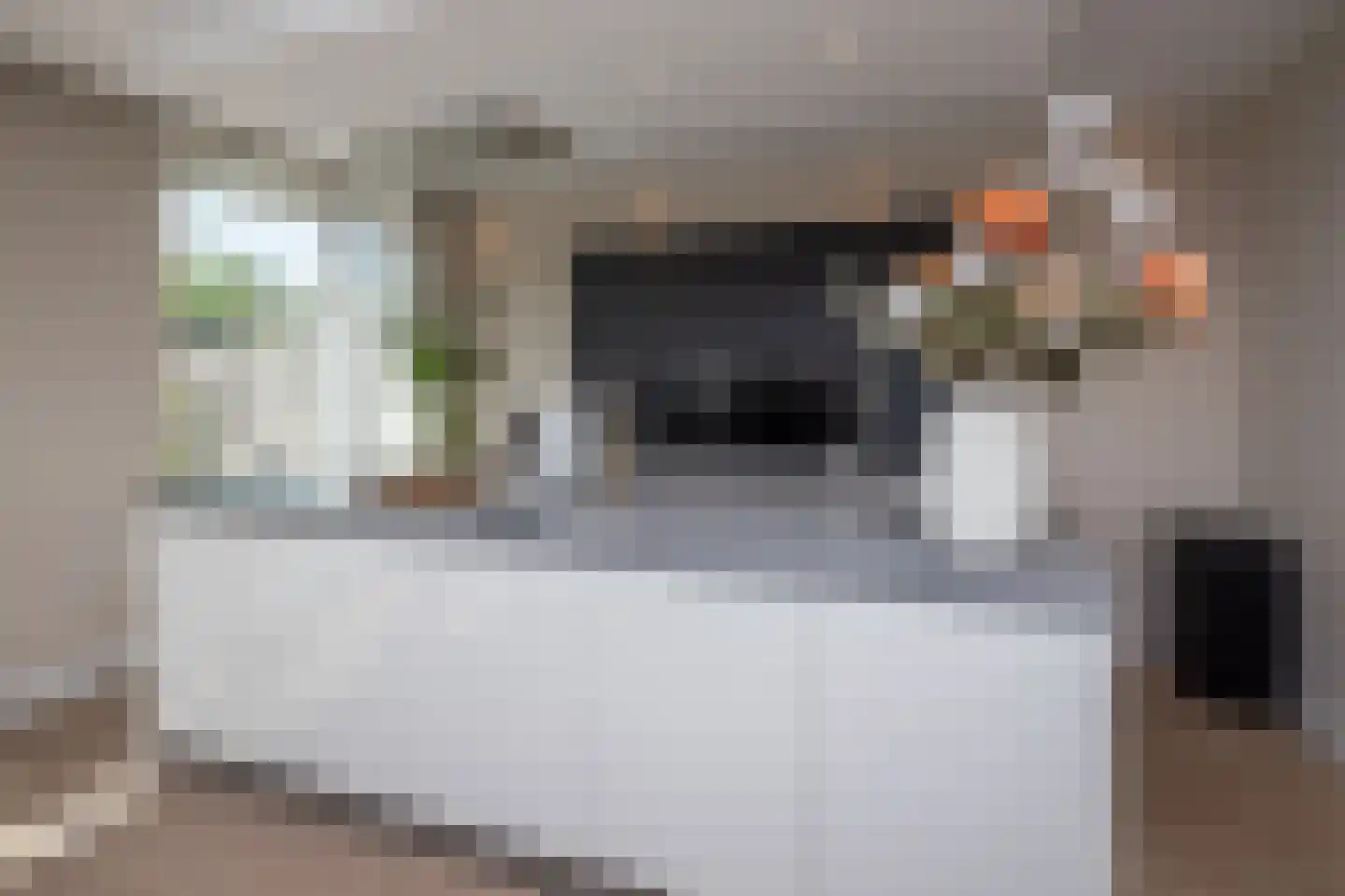 Blauwborst 6 Hoogkarspel thumbnail 13