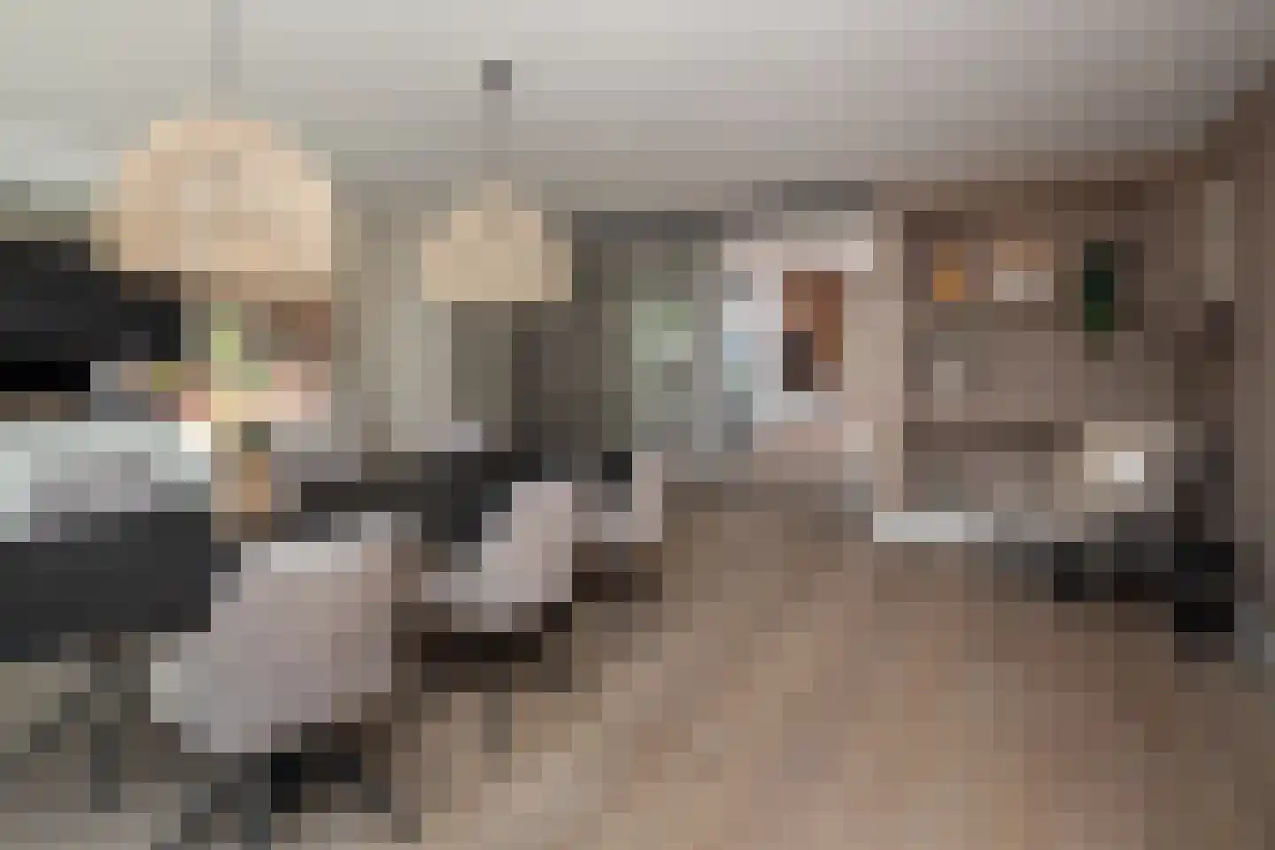 Blauwborst 6 Hoogkarspel thumbnail 14