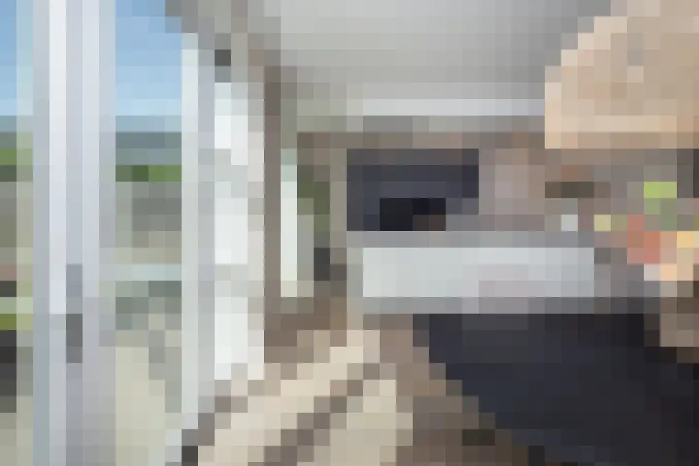 Blauwborst 6 Hoogkarspel thumbnail 15
