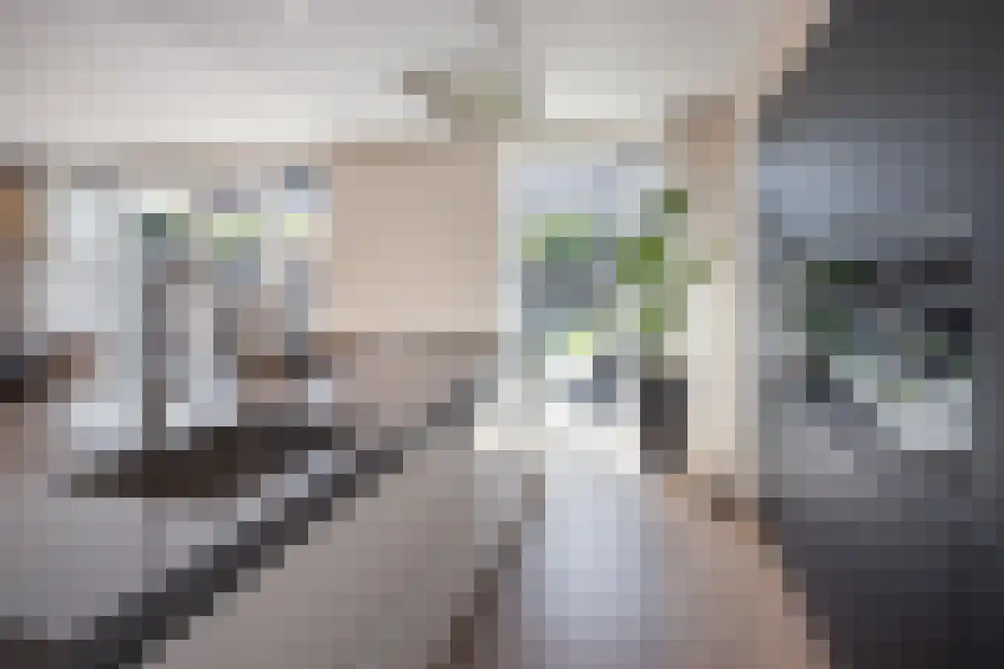 Blauwborst 6 Hoogkarspel thumbnail 16