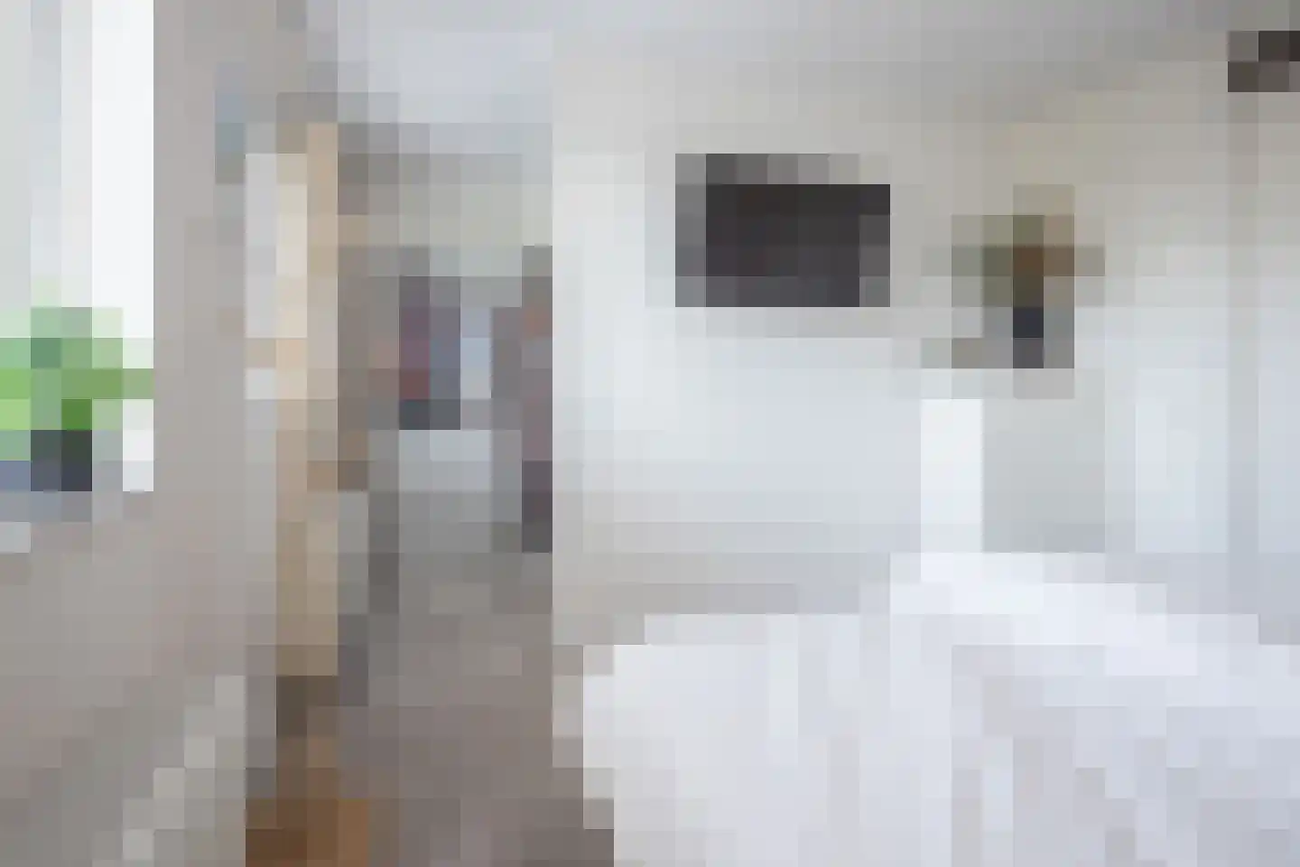 Blauwborst 6 Hoogkarspel thumbnail 20