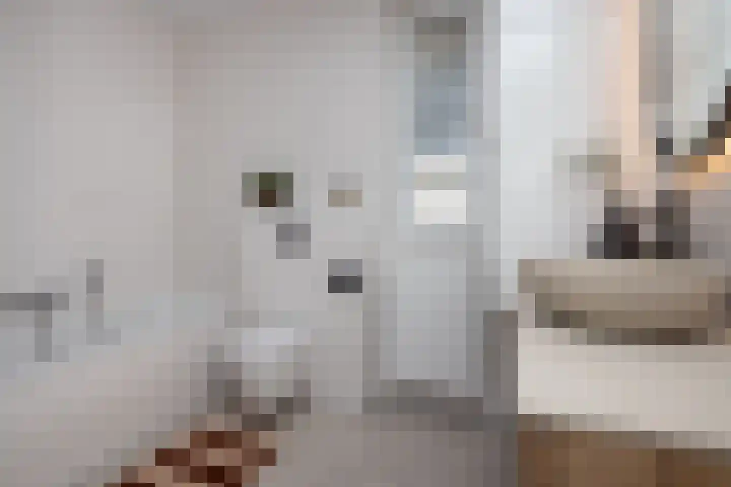 Blauwborst 6 Hoogkarspel thumbnail 23