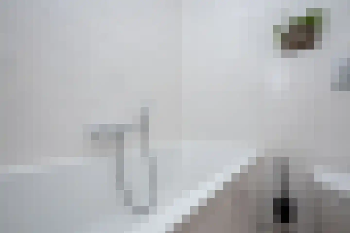 Blauwborst 6 Hoogkarspel thumbnail 26