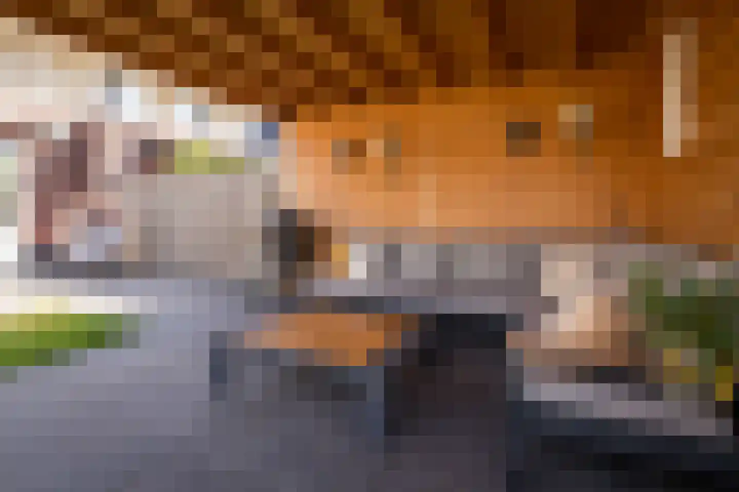 Blauwborst 6 Hoogkarspel thumbnail 37