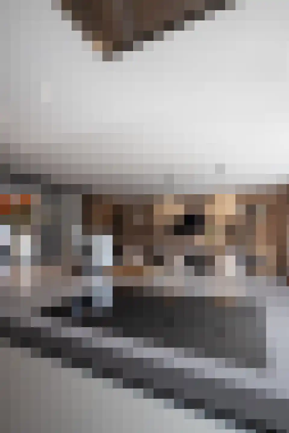 Blauwborst 6 Hoogkarspel thumbnail 53