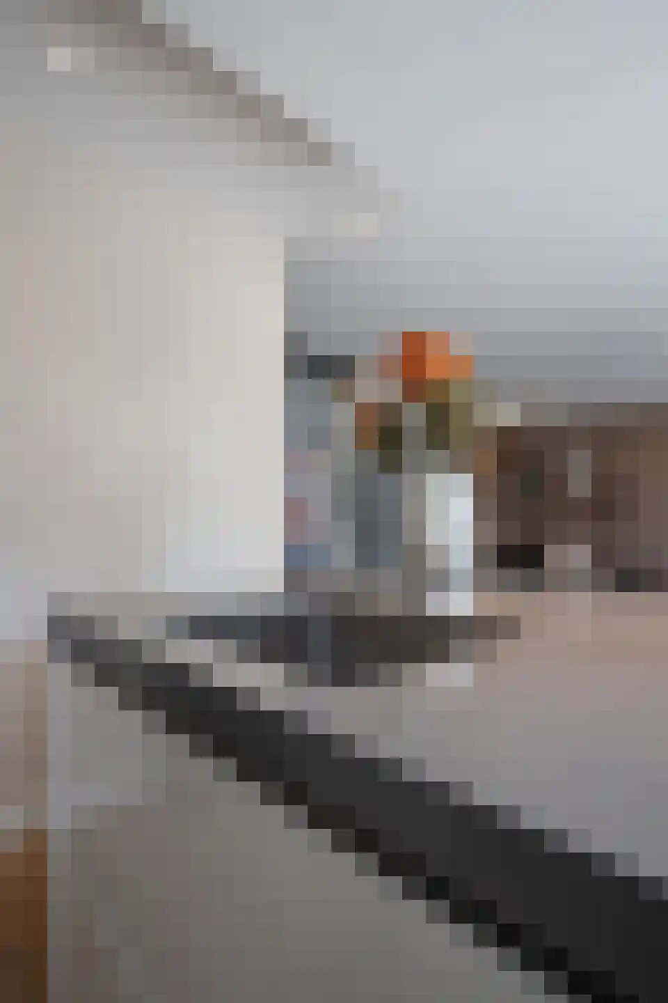 Blauwborst 6 Hoogkarspel thumbnail 54