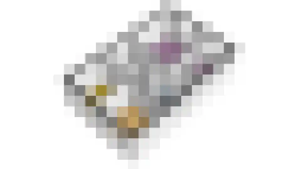 Blauwborst 6 Hoogkarspel thumbnail 61
