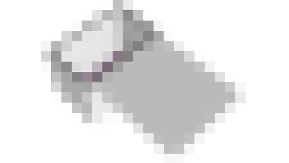 Blauwborst 6 Hoogkarspel thumbnail 65