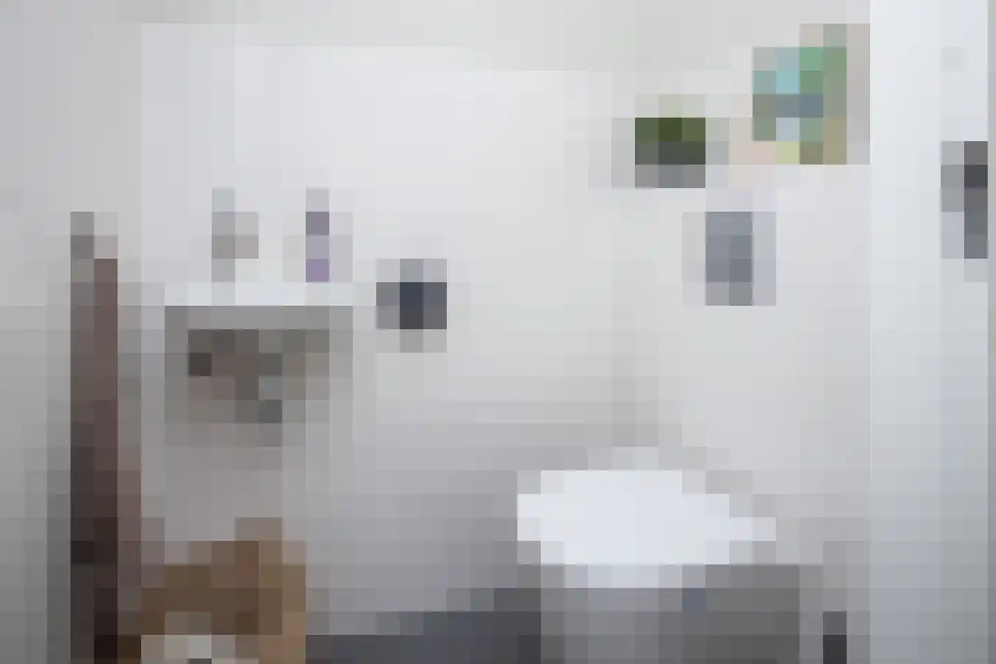 Blauwborst 6 Hoogkarspel thumbnail 8