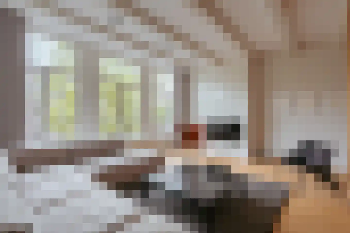 Blauwburgwal 18 1 Amsterdam thumbnail 38