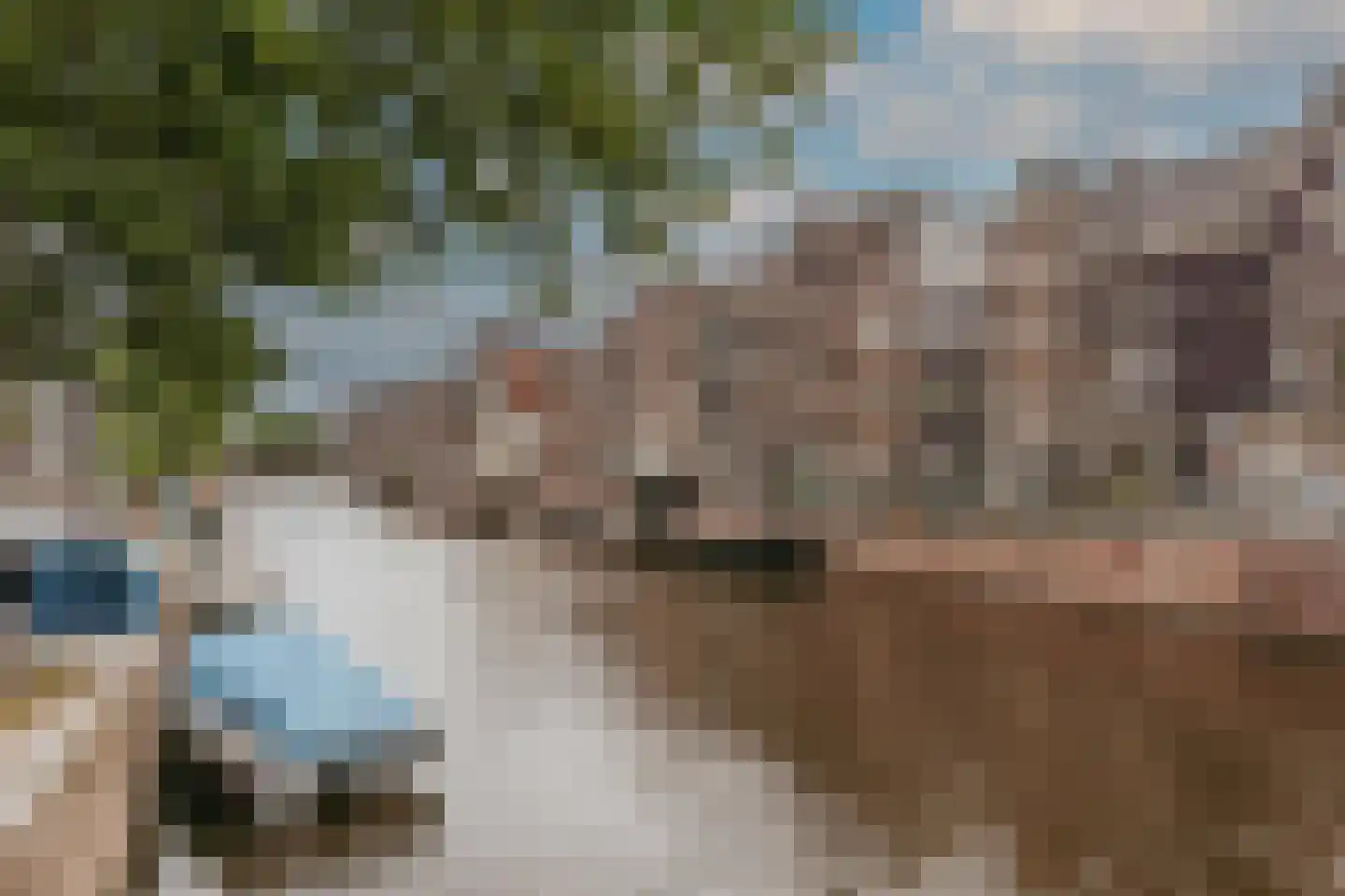 Blauwburgwal 18 1 Amsterdam thumbnail 68