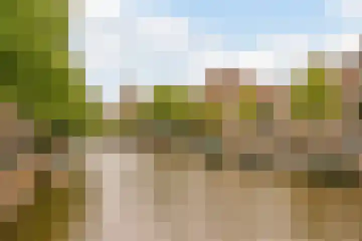 Blauwburgwal 4 3 Amsterdam thumbnail 15