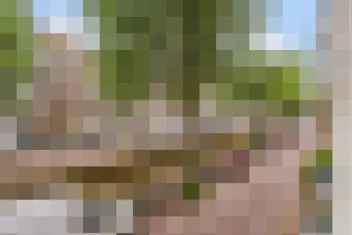 Blauwburgwal 4 3 Amsterdam thumbnail 6