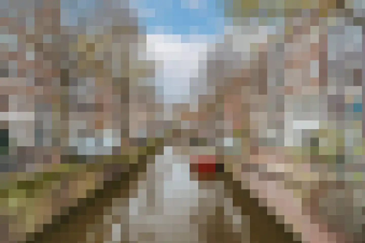 Blauwburgwal 4 H Amsterdam thumbnail 5