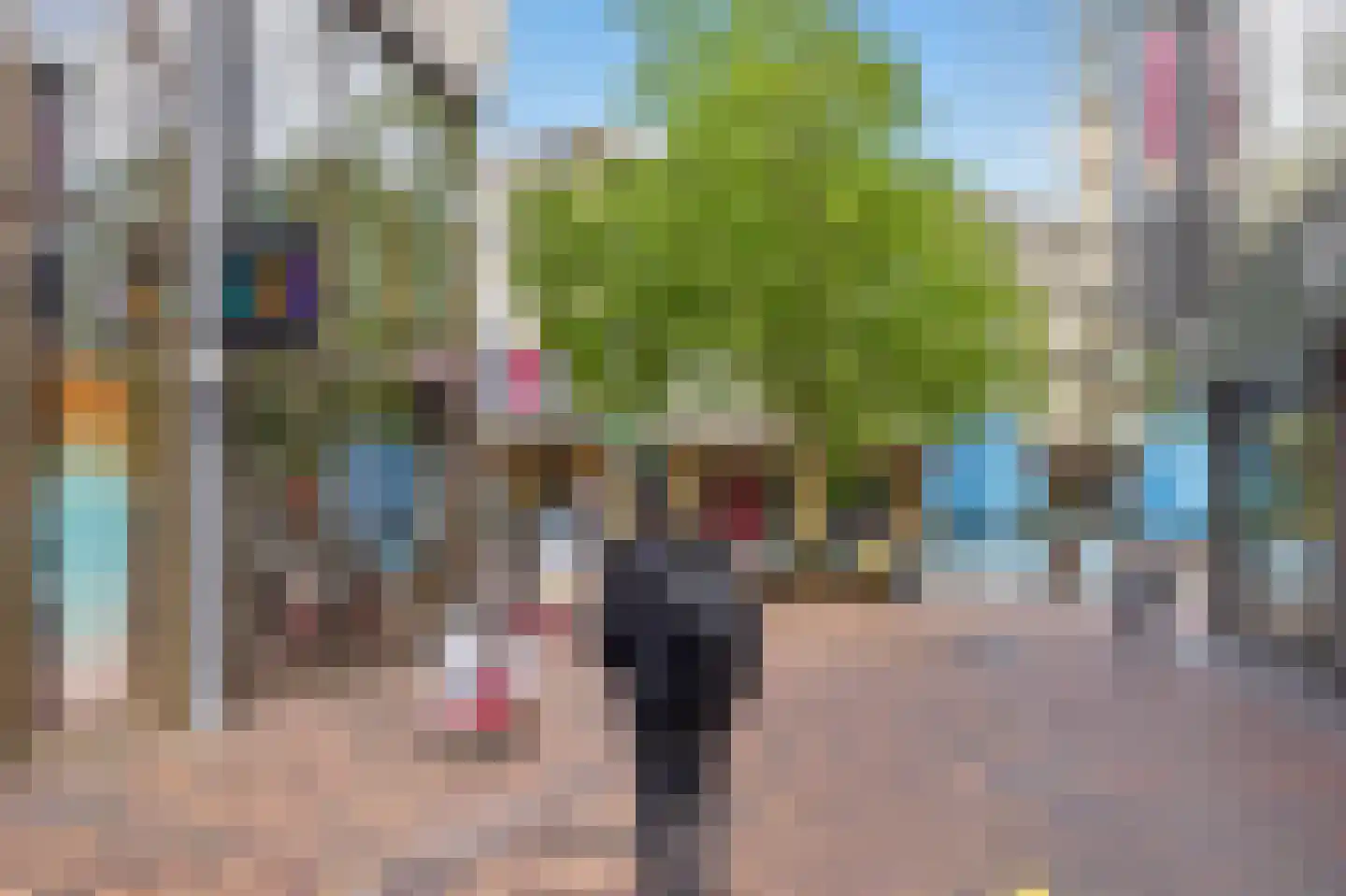 Blauwdasstraat 15 Amsterdam thumbnail 46