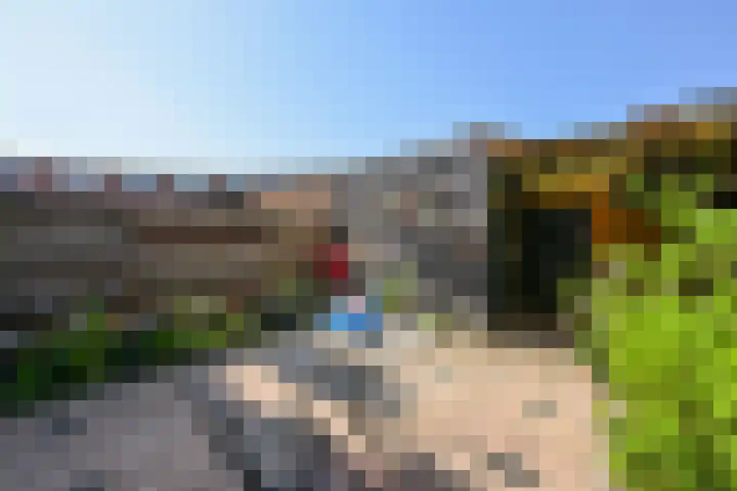 Blauwdasstraat 38 Amsterdam thumbnail 10