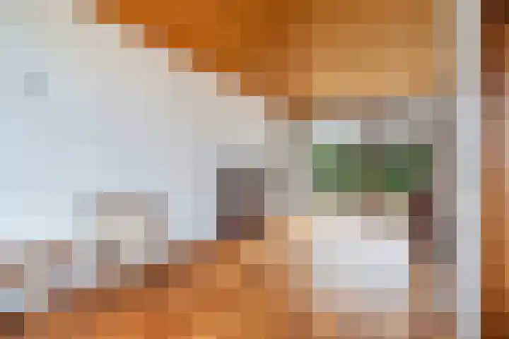 Blauwe Akelei 1 Wateringen thumbnail 11