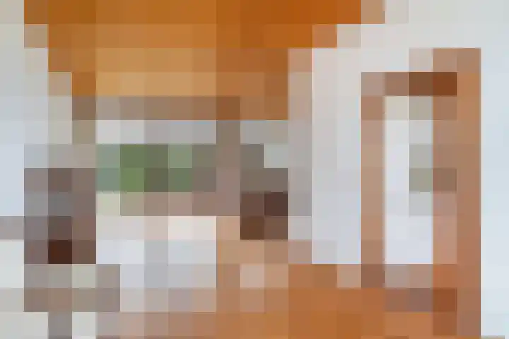 Blauwe Akelei 1 Wateringen thumbnail 12
