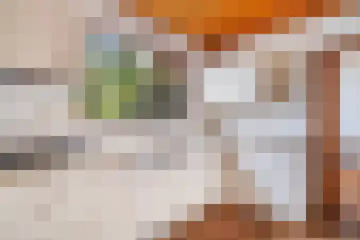 Blauwe Akelei 1 Wateringen thumbnail 14