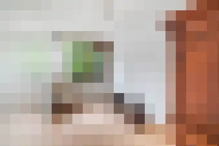Blauwe Akelei 1 Wateringen thumbnail 21