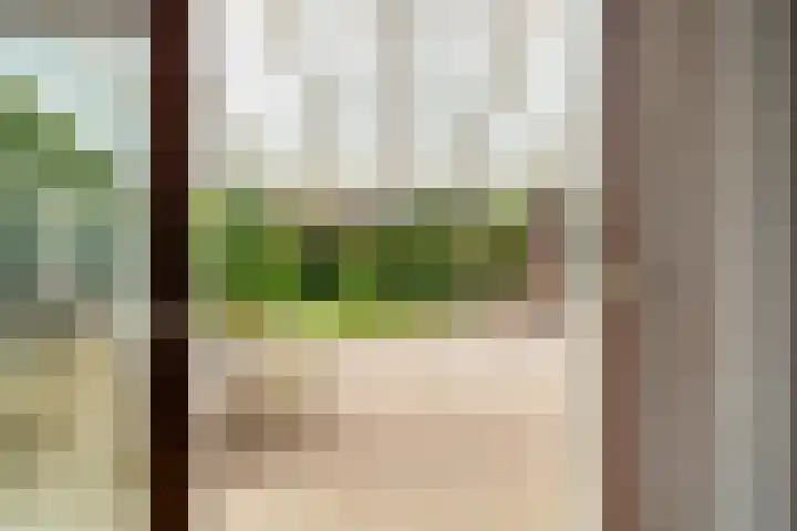 Blauwe Akelei 1 Wateringen thumbnail 38