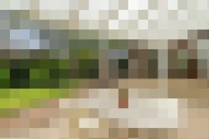 Blauwe Akelei 1 Wateringen thumbnail 39