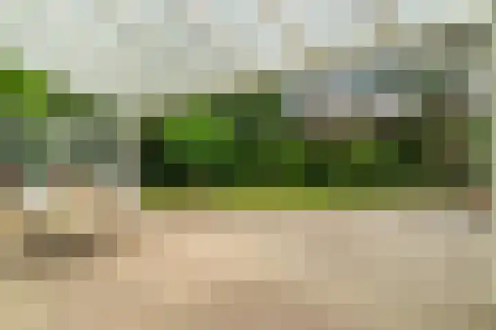 Blauwe Akelei 1 Wateringen thumbnail 40