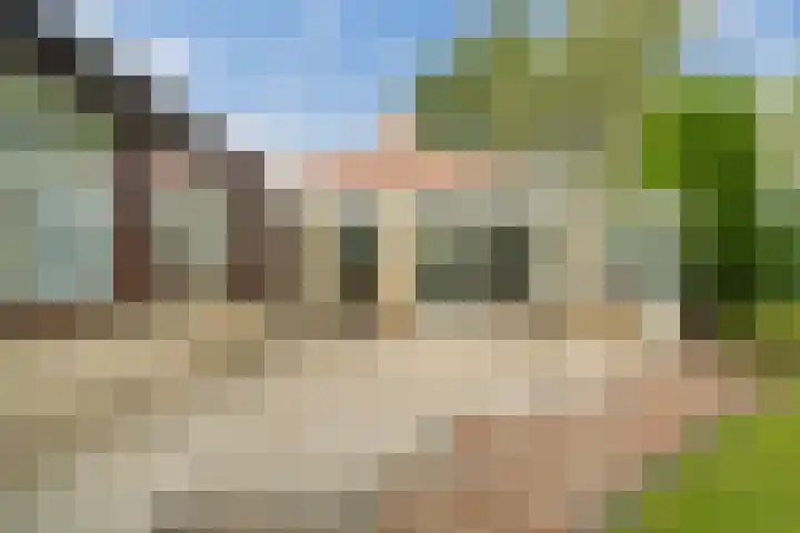Blauwe Akelei 1 Wateringen thumbnail 42