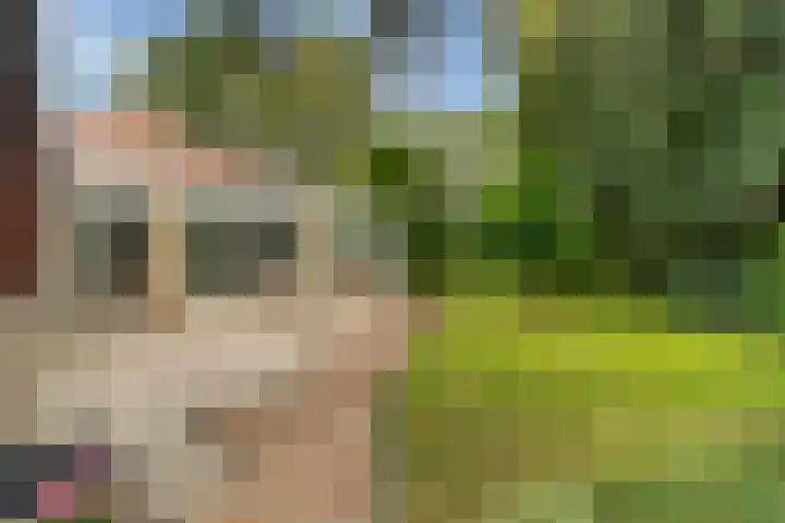 Blauwe Akelei 1 Wateringen thumbnail 43