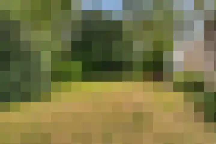 Blauwe Akelei 1 Wateringen thumbnail 45