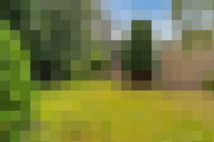 Blauwe Akelei 1 Wateringen thumbnail 46