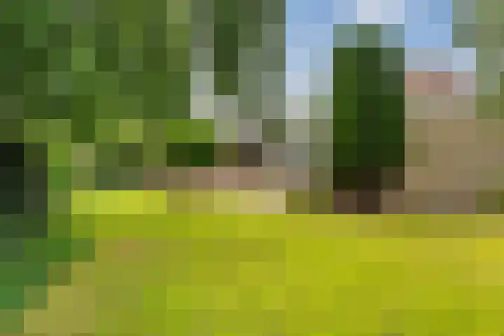 Blauwe Akelei 1 Wateringen thumbnail 47