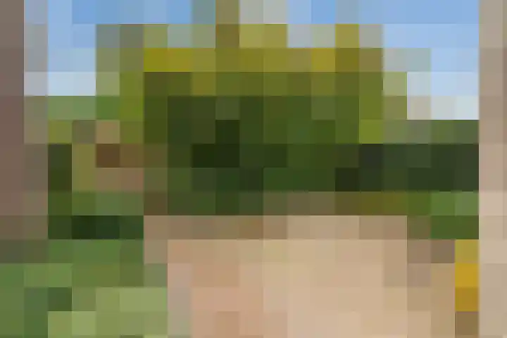 Blauwe Akelei 1 Wateringen thumbnail 48