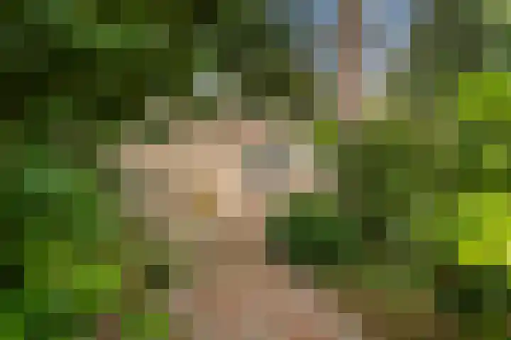 Blauwe Akelei 1 Wateringen thumbnail 50