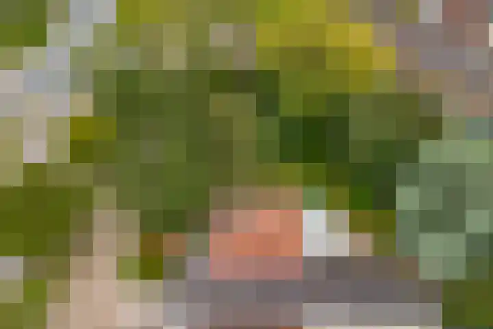 Blauwe Akelei 1 Wateringen thumbnail 51