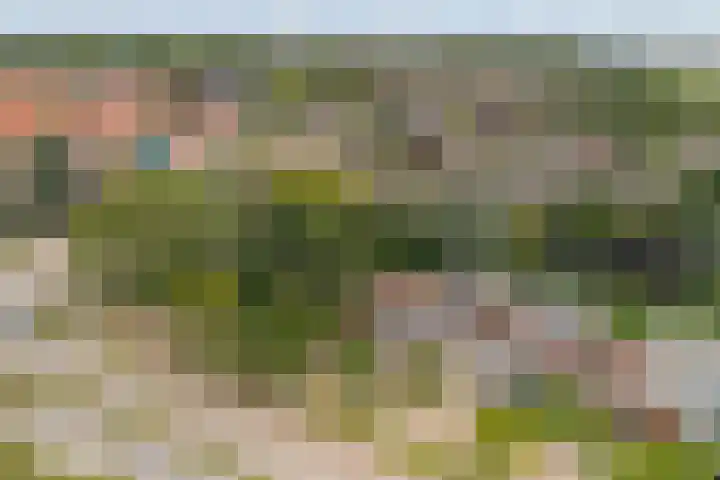 Blauwe Akelei 1 Wateringen thumbnail 54