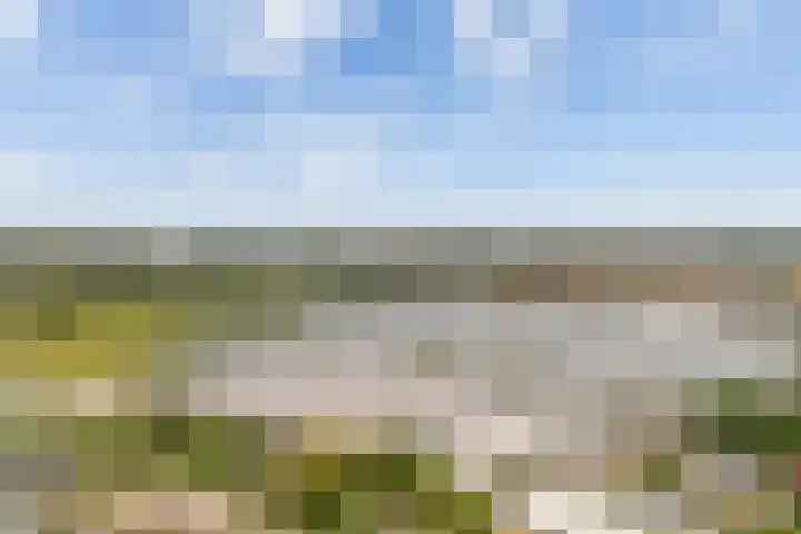 Blauwe Akelei 1 Wateringen thumbnail 56
