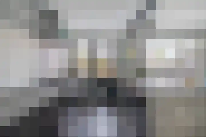 Blauwe Arendstraat 10 Krommenie thumbnail 14
