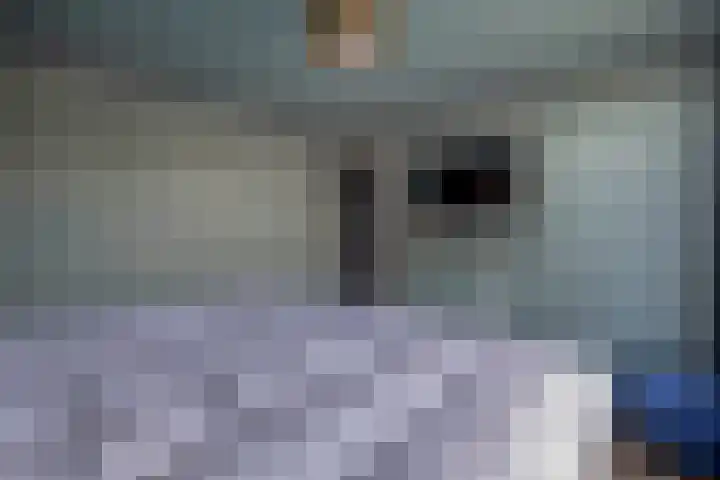 Blauwe Arendstraat 10 Krommenie thumbnail 19