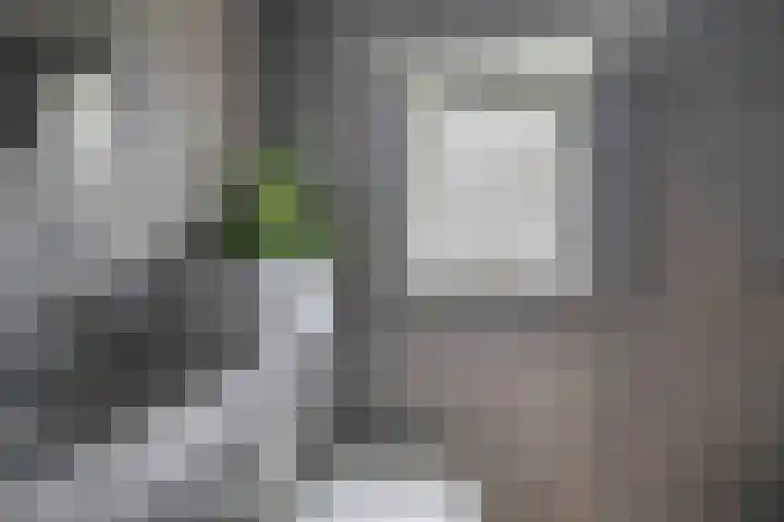 Blauwe Arendstraat 10 Krommenie thumbnail 22