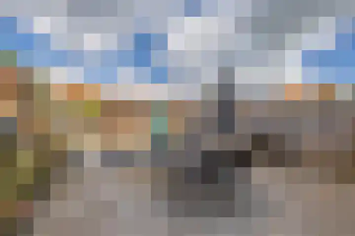 Blauwe Arendstraat 10 Krommenie thumbnail 33