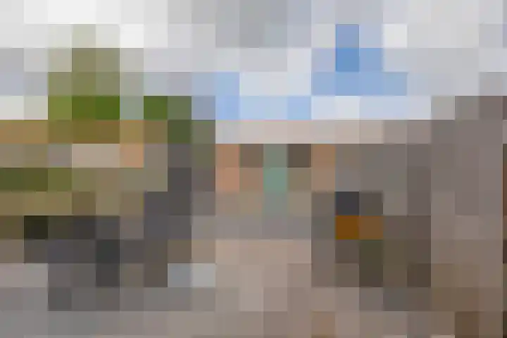 Blauwe Arendstraat 10 Krommenie thumbnail 34