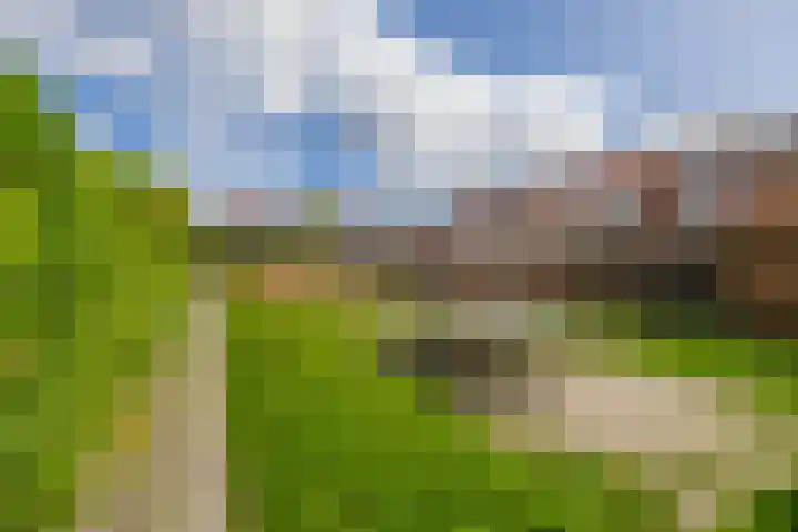 Blauwe Arendstraat 10 Krommenie thumbnail 4