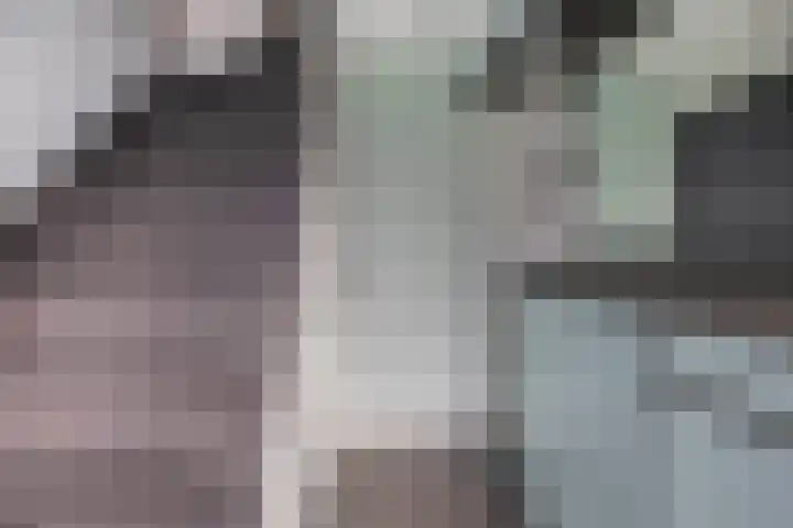 Blauwe Arendstraat 10 Krommenie thumbnail 9