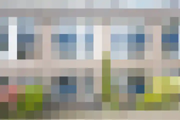 Blauwe Beer 19 dans Heerhugowaard