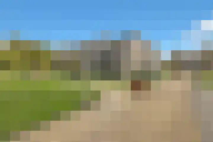 Blauwe Berg 19 J Hoorn thumbnail 10